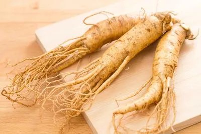 觅阳参中药名叫什么 觅阳参的功效有哪些