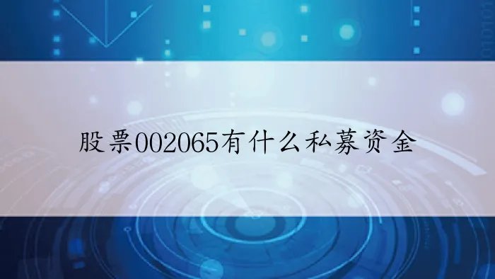 股票002065有什么私募资金