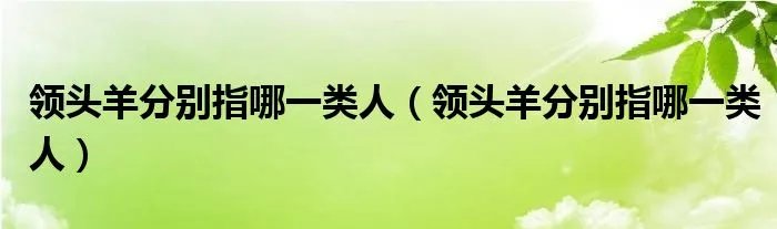 领头羊分别指哪一类人（领头羊分别指哪一类人）