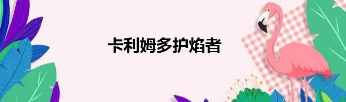 卡利姆多护焰者