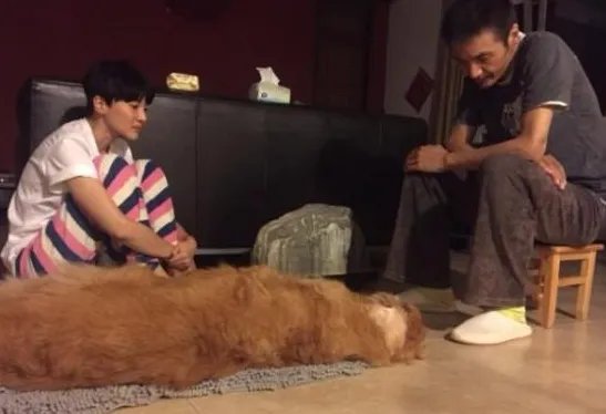 朴树罕见更新微博都说了什么？