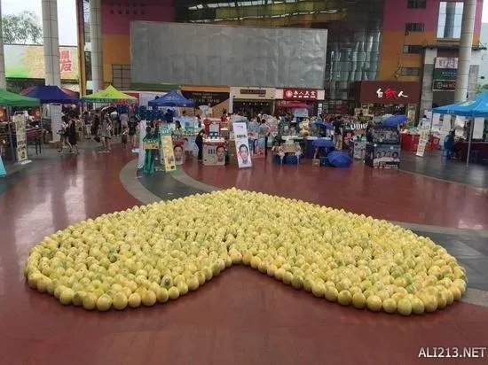 大学男生摆999个柚子告白师姐 结果师姐回复亮了