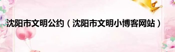 沈阳市文明公约（沈阳市文明小博客网站）