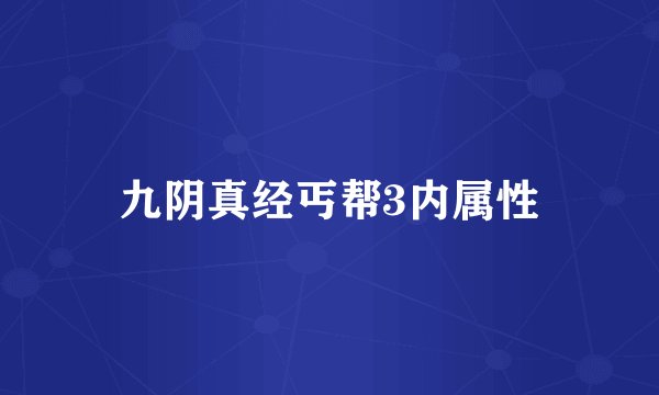 九阴真经丐帮3内属性