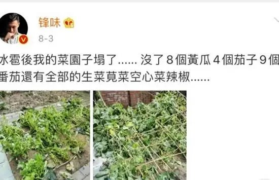 王俊凯祝谢霆锋菜园子无坚不摧什么情况 真相来了原来是这样