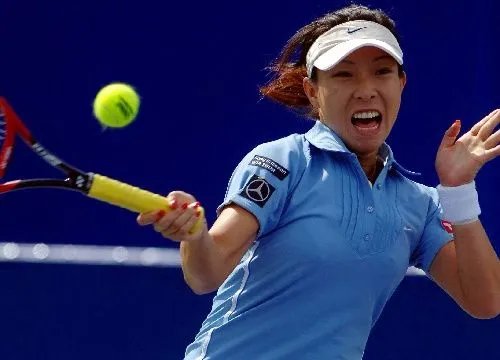 中国网球公开赛门票问题，