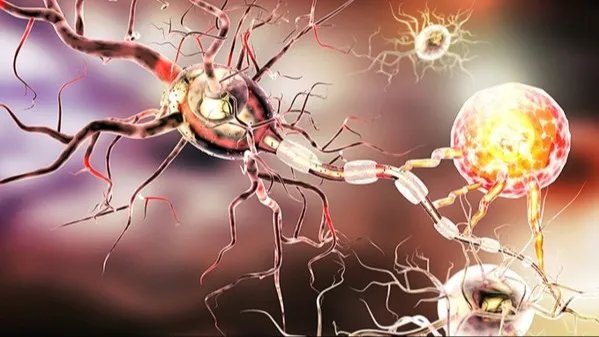 封闭环境聚集更容易造成新冠病毒传播 湖南游船聚集性疫情感染者发声