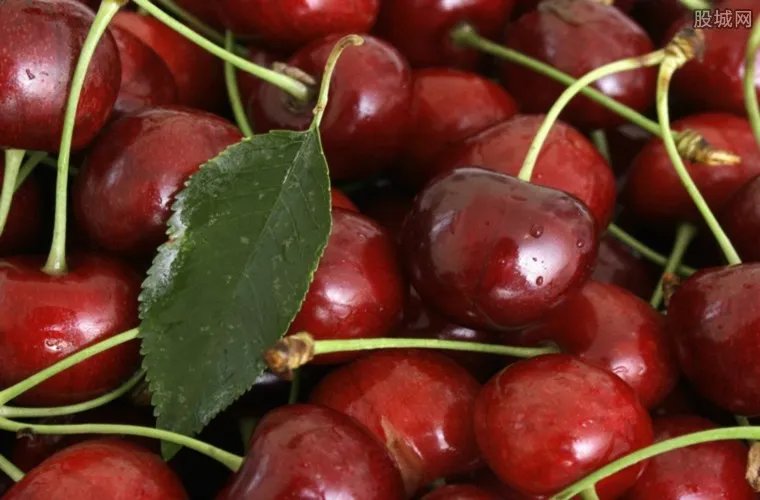 车厘子免费礼盒藏猫腻 4斤车厘子被礼盒占了7两