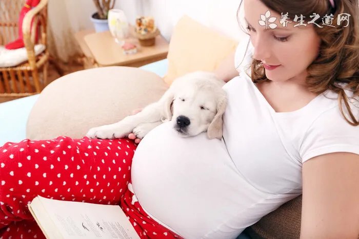 红点锦蛇有毒吗 红点锦蛇怎么养