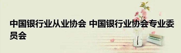 中国银行业从业协会 中国银行业协会专业委员会