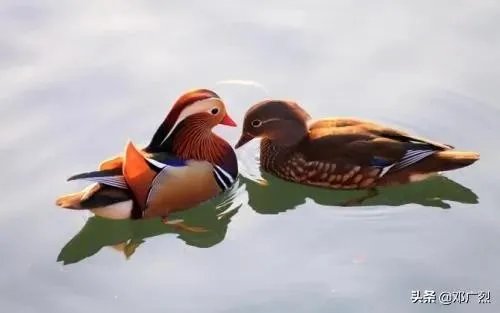 找老婆应该找个什么样的?