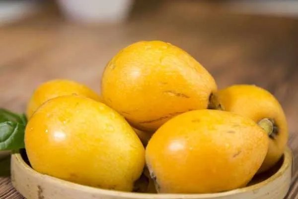 枇杷膏有什么功效