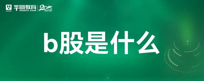 b股是什么