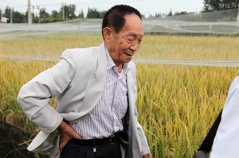 袁隆平的贡献是什么 国家不降半旗致哀的原因