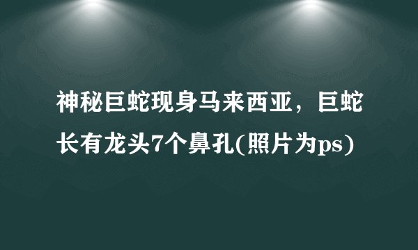 神秘巨蛇现身马来西亚，巨蛇长有龙头7个鼻孔(照片为ps)