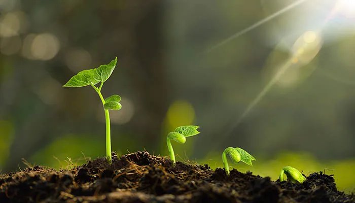 2022年立春是哪天 2022年哪天立春