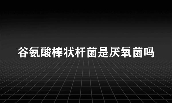 谷氨酸棒状杆菌是厌氧菌吗