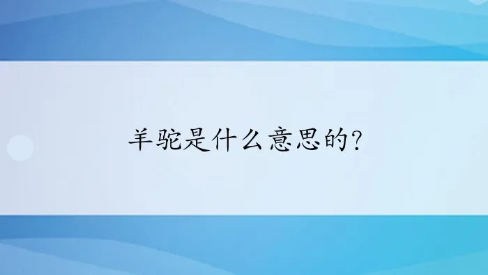 羊驼是什么意思的？