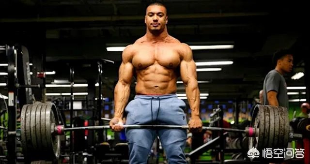 练背可以天天练吗