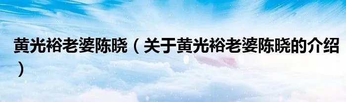 黄光裕老婆陈晓（关于黄光裕老婆陈晓的介绍）