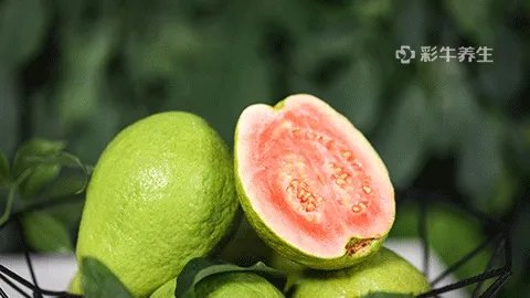 芭乐水果的功效与作用