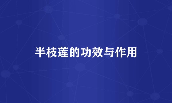 半枝莲的功效与作用