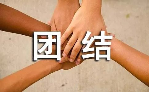 表示团结的成语有哪些
