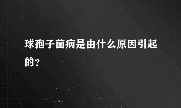 球孢子菌病是由什么原因引起的？