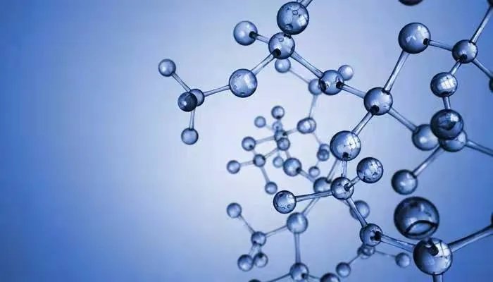 硝化细菌的作用