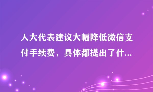 人大代表建议大幅降低微信支付手续费，具体都提出了什么建议？
