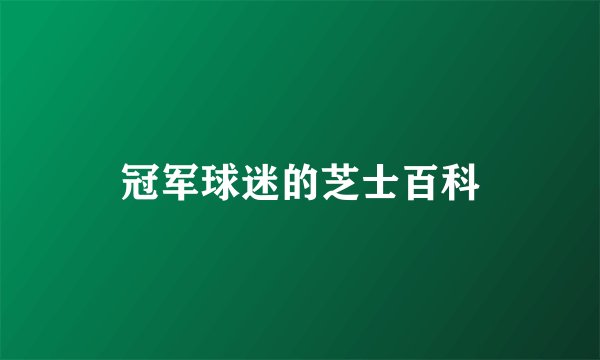 冠军球迷的芝士百科