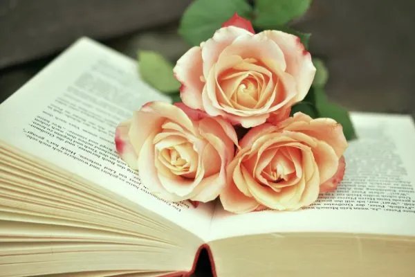 国考报名人数达157.6万，为何多数人选择会国考？