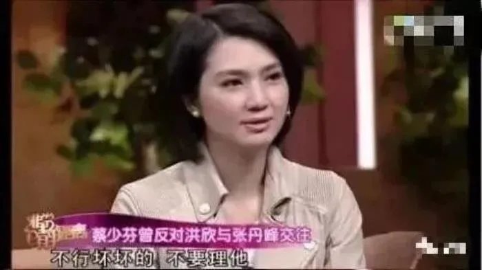 洪欣张丹峰婚变最新消息 现在的婚姻是什么情况