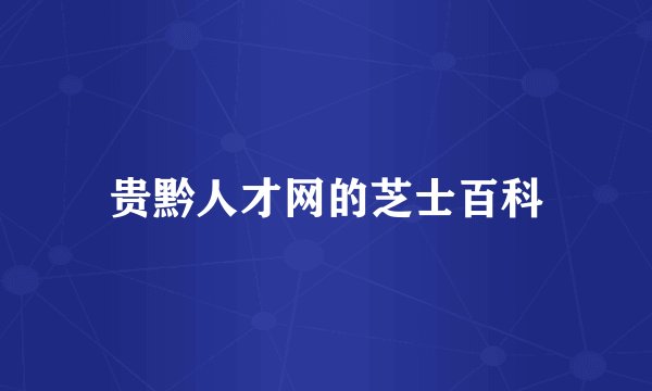 贵黔人才网的芝士百科