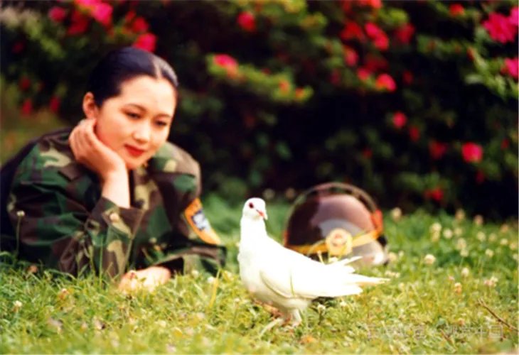 专家称和平鸽迷路概率很低,鸽子是靠什么辨别方向的?