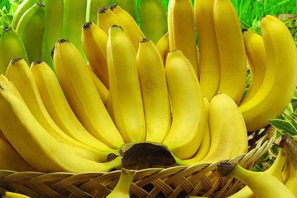 经常熬夜伤身体怎么办   这些食物要多吃