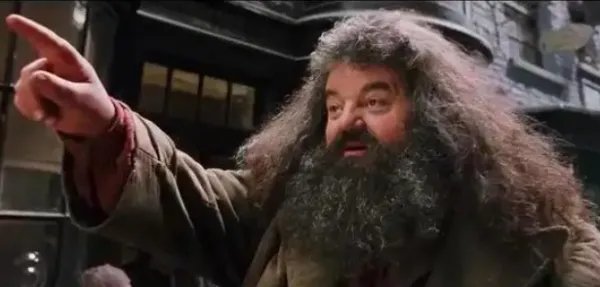 哈利波特海格扮演者去世，海格在故事中是怎样的存在？