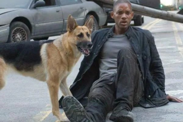 人跪狗事件怎么回事?两男子跪狗一小时(否则要赔偿五千)