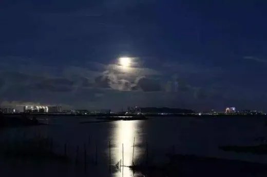 星垂平野阔的下一句是什么