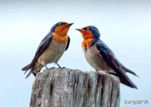 找老婆应该找个什么样的?