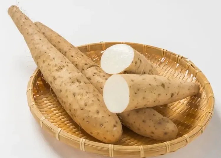 淮山的功效与作用