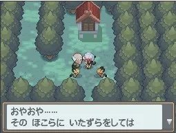 NDS《口袋妖怪：金心/银魂》神兽获得攻略