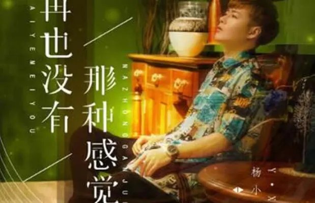 我再也没有那种感觉是什么歌 歌曲《再也没有那种感觉》原唱及歌词介绍