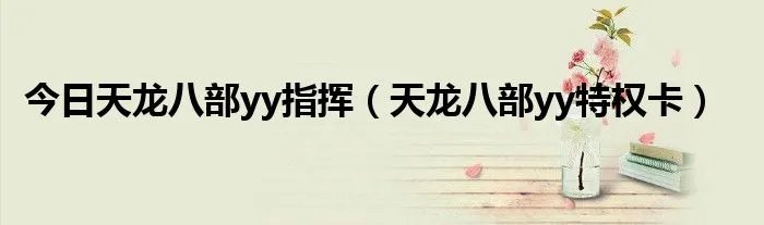 今日天龙八部yy指挥（天龙八部yy特权卡）