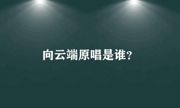 向云端原唱是谁？