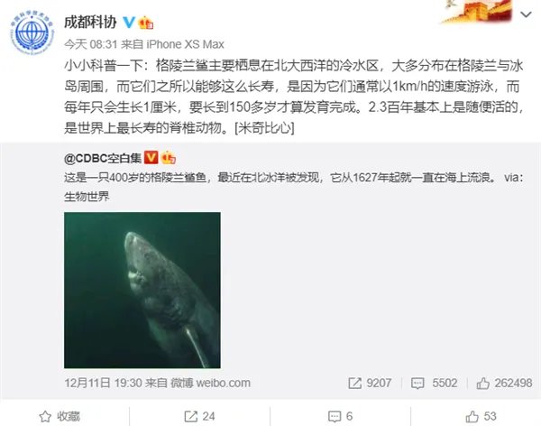 400岁的格陵兰鲨鱼火了:出生于明朝末年