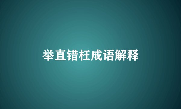 举直错枉成语解释