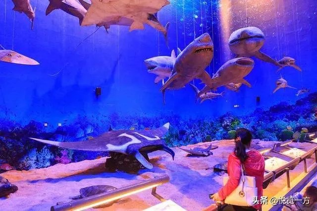 广州周末亲子游好去处？