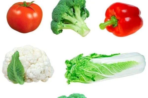 8一9月适合种什么蔬菜