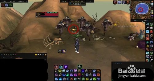 哈里森·琼斯——寻宝合同：鲁克玛护符